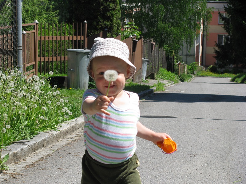IMG_7510_m
