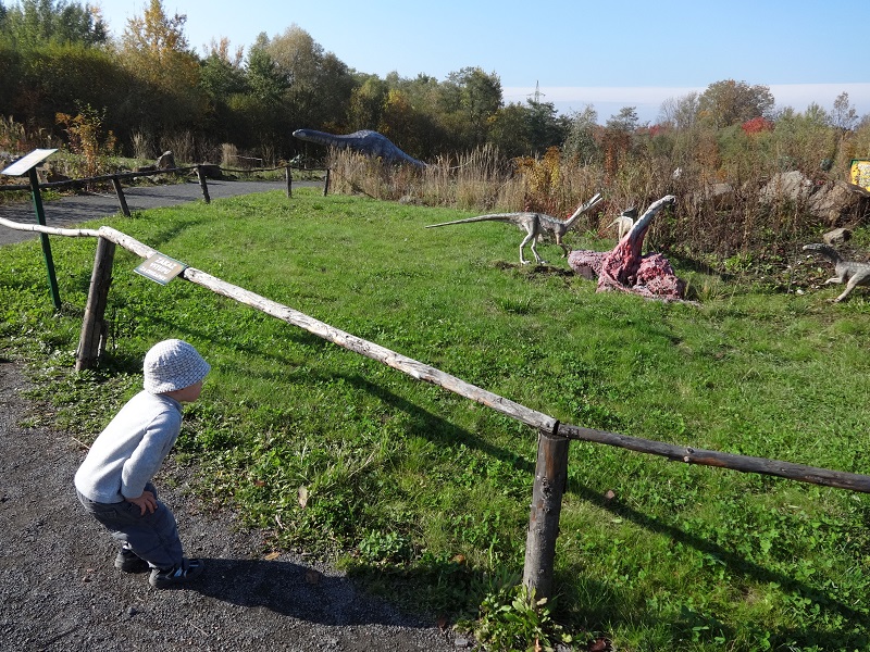 DSC00068_m