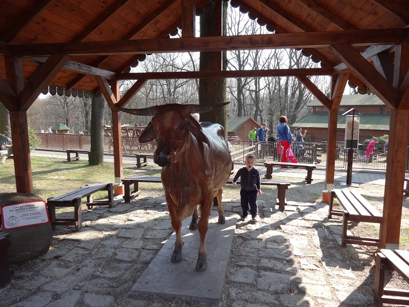 DSC00202_m